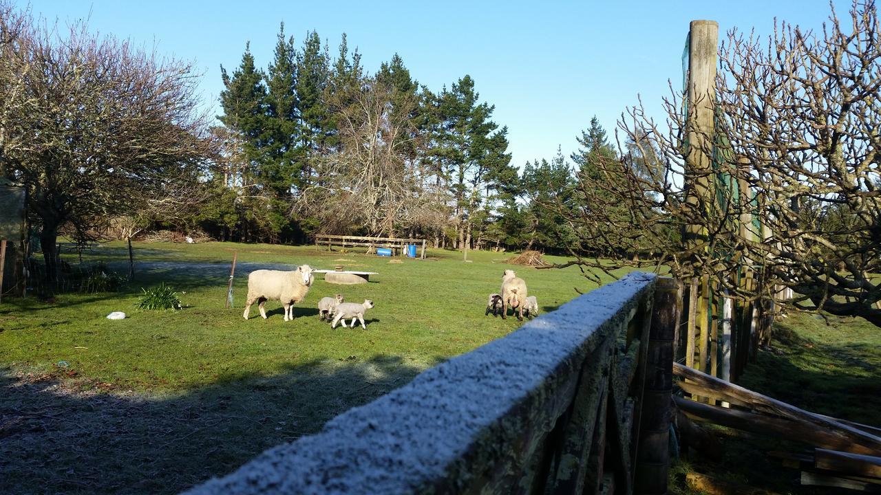 Bed and Breakfast Woodbury Farm Takanini Exteriér fotografie